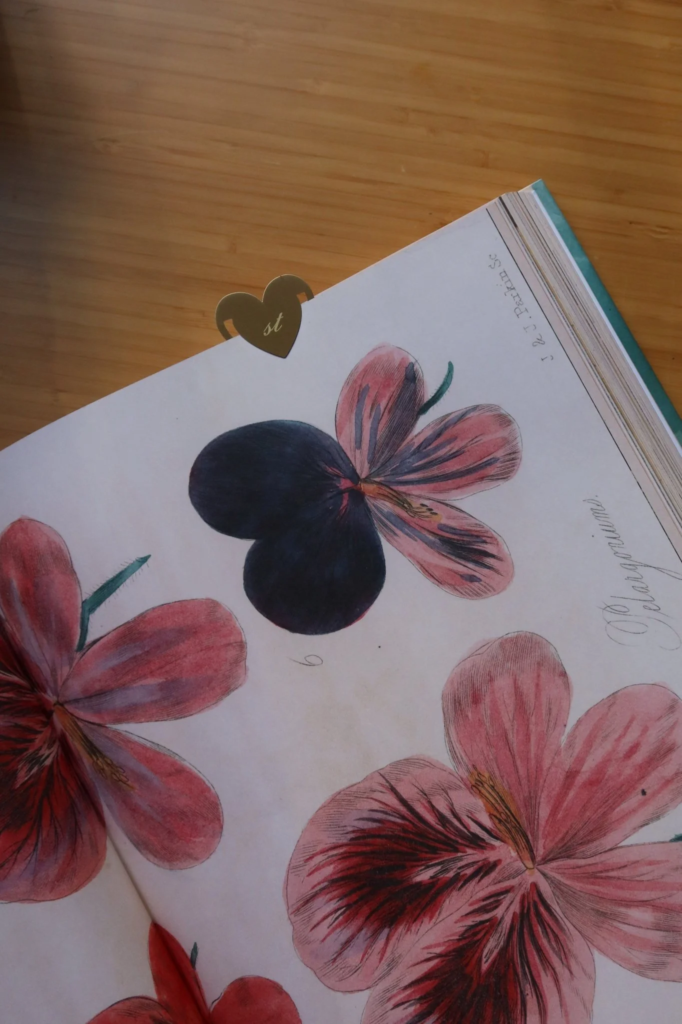 ENGRAVABLE BRASS BOOKMARK - Image 5