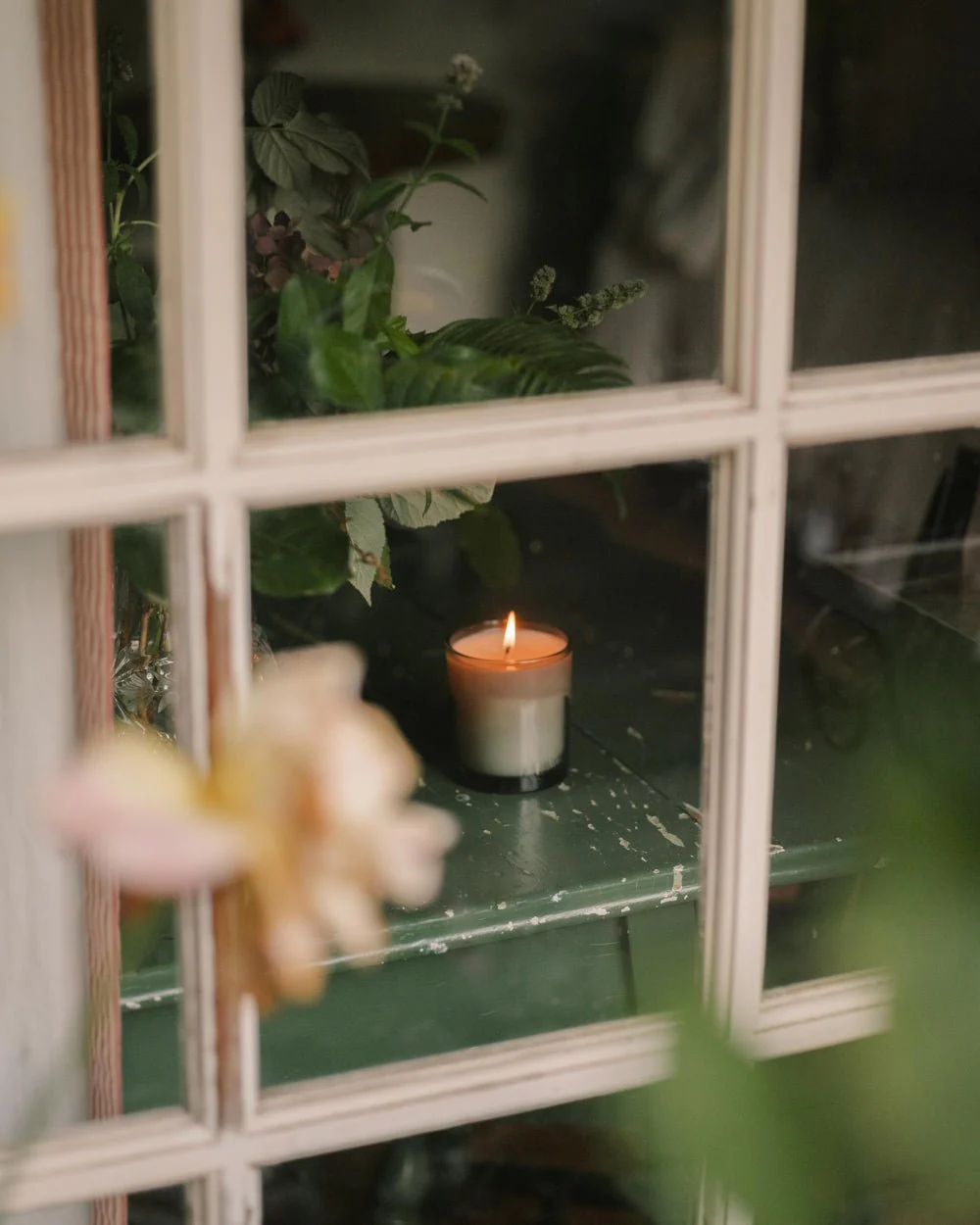 N˚05 Evergreen Candle - Image 3